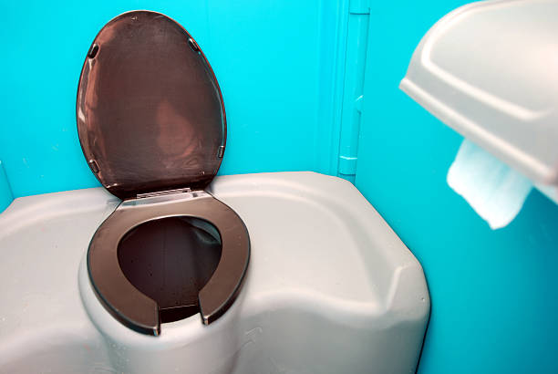 Best Affordable portable toilet rental  in Bad Axe, MI